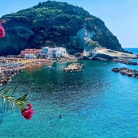Mare Nostrum - Beachfront House - Sant'Angelo Ischia מראה חיצוני תמונה