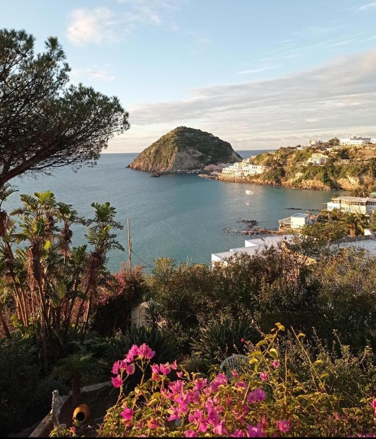 Mare Nostrum - Beachfront House - Sant'Angelo Ischia מראה חיצוני תמונה