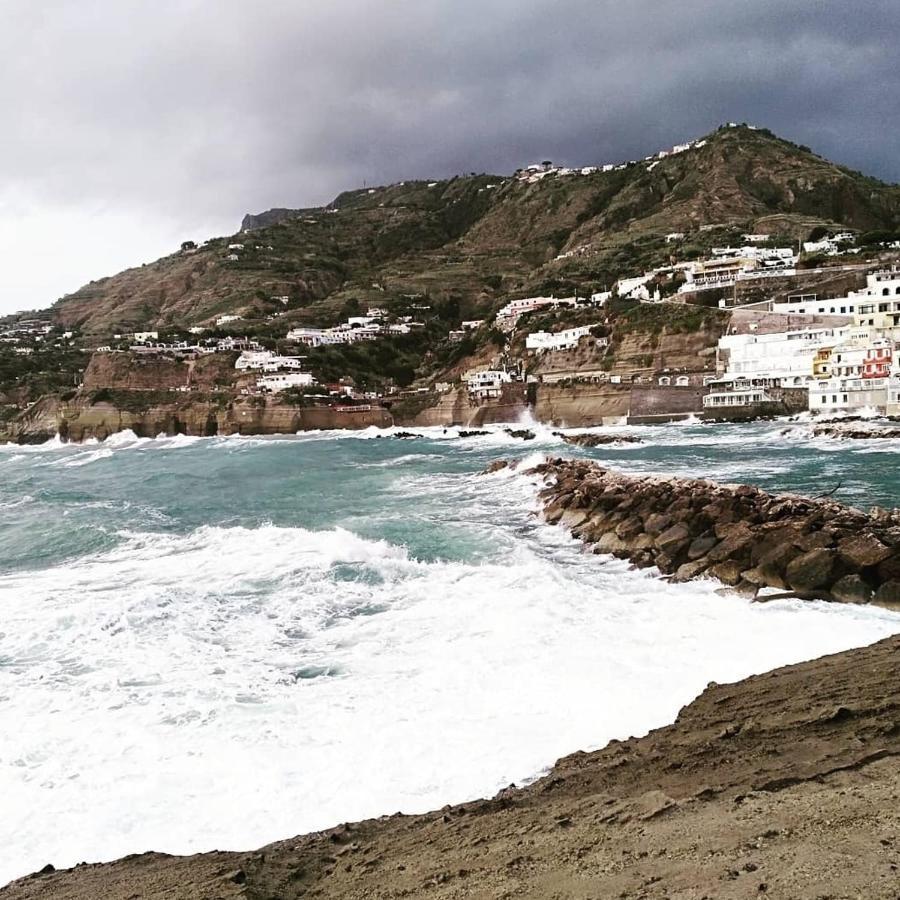 Mare Nostrum - Beachfront House - Sant'Angelo Ischia מראה חיצוני תמונה