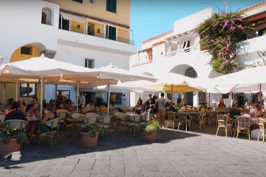 Mare Nostrum - Beachfront House - Sant'Angelo Ischia מראה חיצוני תמונה