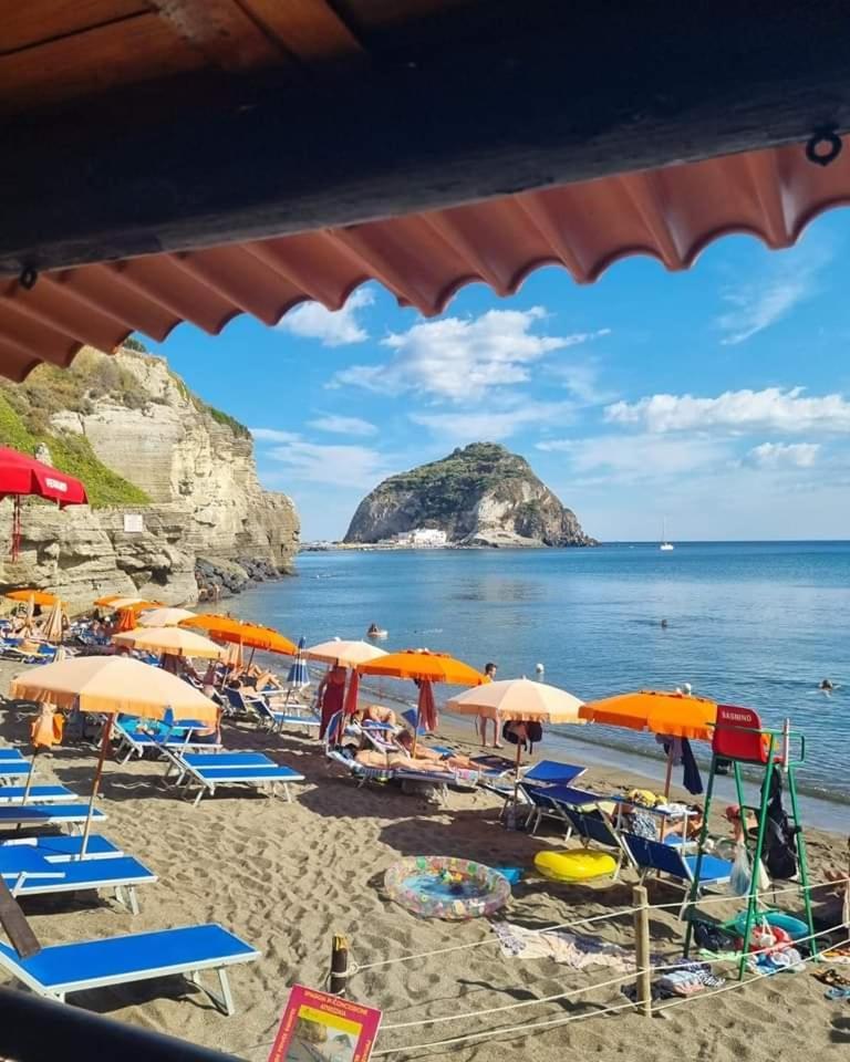 Mare Nostrum - Beachfront House - Sant'Angelo Ischia מראה חיצוני תמונה